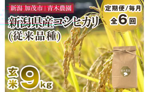 【令和7年産新米先行予約】【定期便6ヶ月毎月お届け】新潟県産 コシヒカリ（従来品種）玄米9kg（3kg×3袋）《10月上旬から順次発送》 玄米 白米 きのこ農家ならではの有機質肥料 お米 新潟産 コシヒカリ 加茂市 青木農園