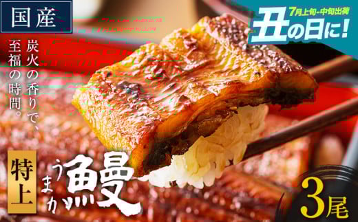 うなぎ 特上サイズ 3尾 国産 ランキング 獲得 鰻 真空パック おすすめ うなぎの蒲焼 《丑の日に！7月上旬〜7月中旬出荷》 有頭 ふるさとのうぜい 鶏炭火焼 特上 簡易包装 ウナギ unagi 蒲焼 秋 冬 旬 配送時期 冷凍
