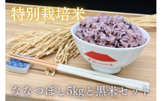 北海道奈井江町　特別栽培米　ななつぼし5kgと黒米セット
