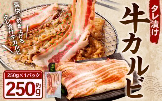 タレ漬け 牛カルビ 計250g 牛肉 牛 カルビ お肉 肉 たれ漬け 焼き肉 焼肉 BBQ バーベキュー