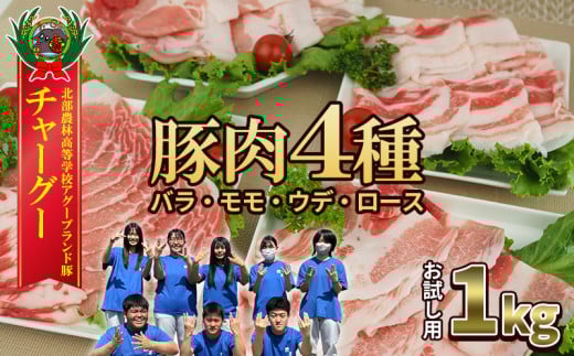 チャ―グー4種食べ比べ1kg（250g×4P） 沖縄 チャーグー アグー ブランド豚 旨み ジューシー ヘルシー 沖縄料理 しゃぶしゃぶ ステーキ ロースカツ バラ モモ ウデ ロース 豚肉 人気 高校生 小分け 豚しゃぶ 2101812 - 沖縄県名護市