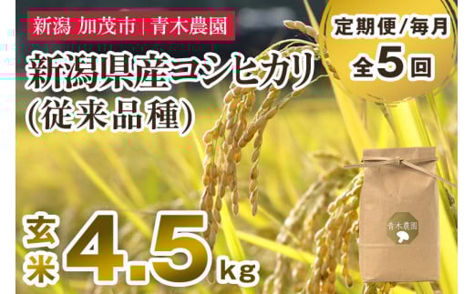 【令和7年産新米先行予約】【定期便5ヶ月毎月お届け】新潟県産 コシヒカリ（従来品種）玄米4.5kg（1.5kg×3袋）《10月上旬から順次発送》 玄米 白米 きのこ農家ならではの有機質肥料 お米 新潟産 コシヒカリ 加茂市 青木農園