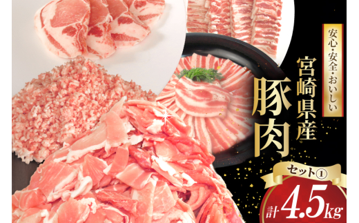 豚肉 宮崎県産 豚肉 選べる バラエティ セット1 合計4.5kg [南九フーズ 宮崎県 日向市 452061301-a] セット 切り落とし しゃぶしゃぶ 小分け バラ こま切れ ロース 詰め合わせ ミンチ 豚ミンチ とんかつ 生姜焼き