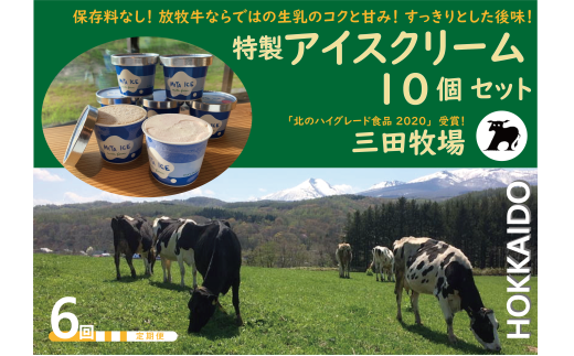 【6ヵ月定期便】アイス 三田牧場 特製 アイスクリーム 10個 セット ミルク チョコレート いちごみるく ラムレーズン 抹茶 お菓子