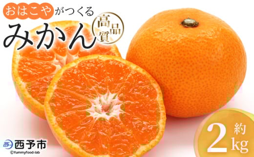 [おはこやがつくる 高品質みかん 約2kg(S〜Lサイズ)] 果物 フルーツ 柑橘 ミカン 蜜柑 特産品 西宇和 愛媛県 西予市 [常温]