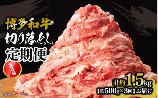 博多和牛 切り落とし 定期便全3回 計約1.5kg 肉 お肉 焼肉 牛 牛肉 和牛 バーベキュー BBQ 焼肉