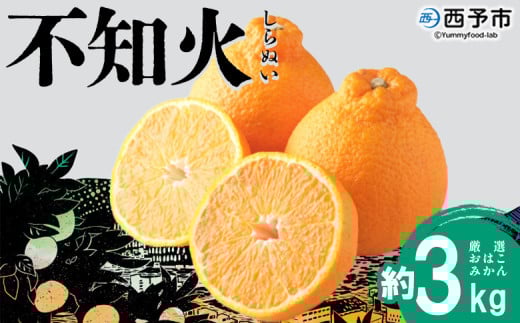 [おはこやがつくる おはこデコ(不知火)約3kg(L〜3Lサイズ)] 果物 フルーツ 柑橘 しらぬい みかん 特産品 西宇和 愛媛県 西予市[常温]