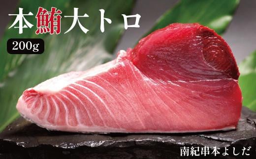南紀串本よしだ 本鮪 大トロ サク 200g 2101262 - 和歌山県高野町