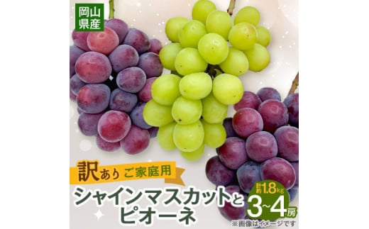 ＜2025年10月より発送＞訳ありシャインマスカットとピオーネ詰合せ 3～4房 1.8kg ご家庭用【1608538】 2104686 - 岡山県新庄村