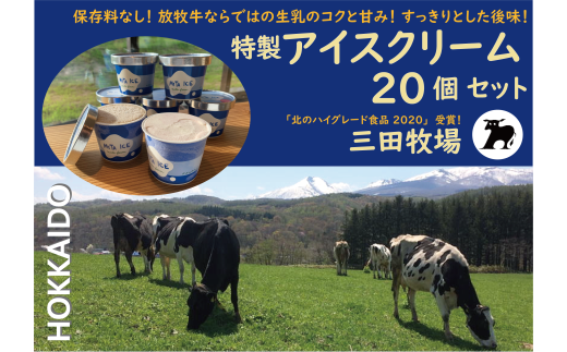 アイス 三田牧場 特製 アイスクリーム 20個セット ミルク チョコレート いちごみるく ラムレーズン 抹茶 