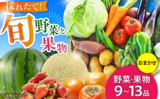 【限定数量】菊陽町特産品 「野菜・果物などの詰め合わせ」 / 新鮮 詰合せ フルーツ セット 旬 おまかせ にんじん ごぼう 直売所 やさい くだもの 熊本県 特産品 菊陽町 【有限会社さんふれあ】 [BHAK006]