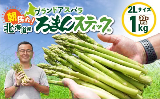 ロマンス農園 ろまんスティック 2Lサイズ 1kg　T049-005