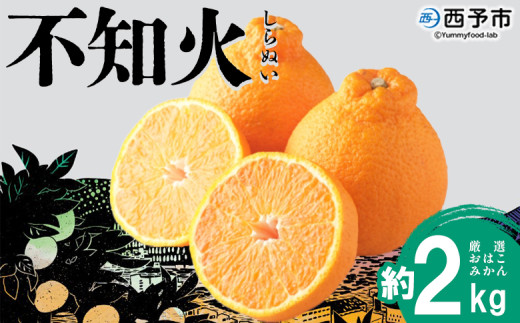 [おはこやがつくる おはこデコ(不知火)約2kg(L〜3Lサイズ)] 果物 くだもの フルーツ 柑橘 蜜柑 ミカン しらぬい シラヌイ みかん 特産品 西宇和 愛媛県 西予市[常温]
