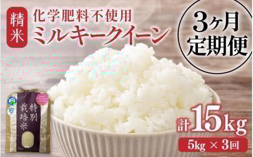 【先行予約】【令和7年産】定期便 ≪3ヶ月連続お届け≫ 化学肥料不使用 特別栽培米 ミルキークイーン 精米 5kg × 3回（合計15kg） / 白米 米 福井県あわら市産 美味しい 特別栽培米 減農薬 安心な米 旨味 甘み もっちり 冷蔵保管米 ※2025年10月上旬より順次発送 [aw010-c006]