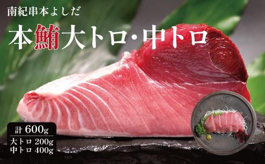 南紀串本よしだ 本鮪 大トロ サク 200g 中トロ サク 400gセット 2101259 - 和歌山県高野町