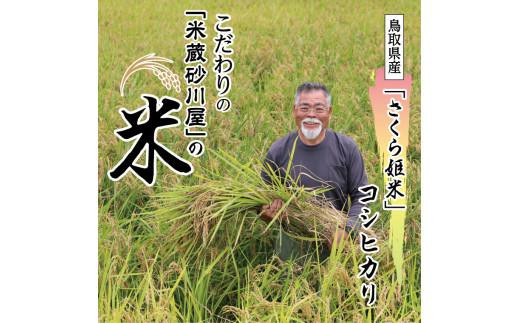 【2025年9月下旬～発送予定】鹿野のさくら姫米 3kg 1333583 - 鳥取県鳥取市
