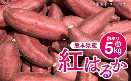 【先行予約】【数量限定】【訳あり】紅はるか　約5kg【日本フルーツ株式会社】 [AYDA006]