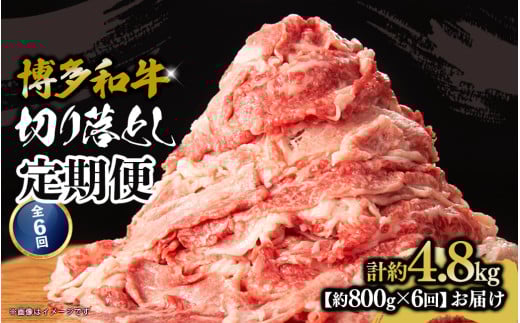 博多和牛 切り落とし 定期便全6回 計約4.8kg 肉 お肉 焼肉 牛 牛肉 和牛 バーベキュー BBQ 焼肉