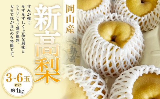 新高梨 3－6玉（合計約4kg） 化粧箱入り 【2025年9月下旬～11月上旬迄発送予定】 なし 梨 ナシ 国産 フルーツ 果物 ギフト 岡山県産