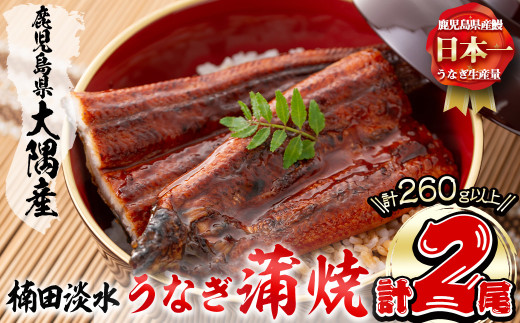 楠田の極うなぎ蒲焼き130g以上×2尾(計260g以上) 山椒付たれ 鰻 ウナギ 蒲焼 うな重 ひつまぶし 鹿児島 冷凍 おかず お祝い a4-093 2102436 - 鹿児島県志布志市