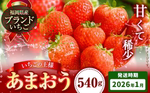 いちご あまおう 先行予約 いちご 大量 540g 選べる発送時期 定期便 フルーツ《2026年1月上旬-1月末頃出荷》苺 旬 くだもの 果物 福岡県 小竹町 1403152 - 福岡県小竹町