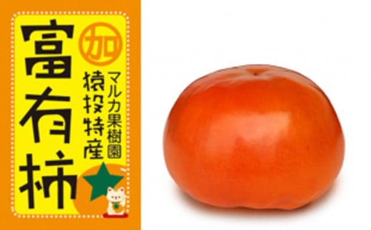 ＜先行受付＞富有柿　約3.7kg【2025年11月上旬以降順次発送】 1248648 - 愛知県豊田市