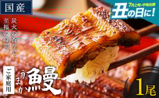 うなぎ ご家庭用 1尾 国産 ランキング 獲得 鰻 真空パック おすすめ うなぎの蒲焼 [丑の日に!7月上旬〜7月中旬出荷] 有頭 ふるさとのうぜい 鶏炭火焼 訳あり 簡易包装 不揃い ウナギ unagi 蒲焼 秋 冬 旬 配送時期 冷凍