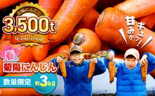 【4月中旬より順次発送予定】【数量限定】菊陽町の春にんじん(菊陽にんじん) 約3kg [BHAK003]