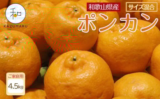 家庭用 森本農園の手選別 ポンカン 4.5kg 和歌山県産 サイズ混合 ［北海道・沖縄・離島配送不可］［RN12］［2026年1月上旬から順次発送］ 1448598 - 和歌山県高野町