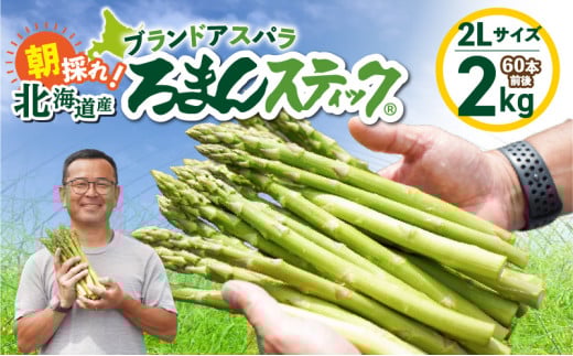 ロマンス農園 ろまんスティック 2Lサイズ 2kg　T049-006