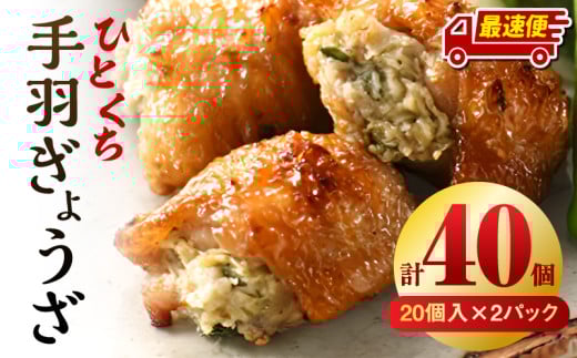 【最速便】ひとくち手羽ぎょうざ 計40個 20個入×2パック_M025-005-2W