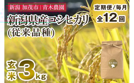 【令和7年産新米先行予約】【定期便12ヶ月毎月お届け】新潟県産 コシヒカリ（従来品種）玄米3kg（3kg×1袋）《10月上旬から順次発送》 玄米 白米 きのこ農家ならではの有機質肥料 お米 新潟産 コシヒカリ 加茂市 青木農園