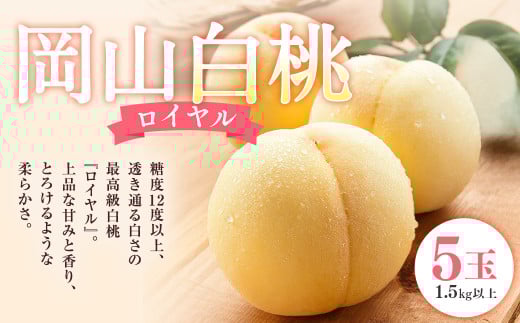 岡山 白桃 ロイヤル 5玉 （合計1.5kg以上） 化粧箱入り 【2025年7月上旬～8月上旬迄発送予定】 はくとう モモ もも 桃 フルーツ 果物 くだもの 冷蔵