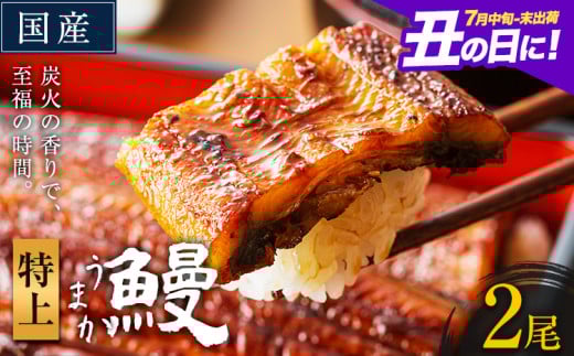 うなぎ 特上サイズ 2尾 国産 ランキング 獲得 鰻 真空パック おすすめ うなぎの蒲焼 《丑の日に！7月中旬〜7月末出荷》 有頭 ふるさとのうぜい 鶏炭火焼 特上 簡易包装 ウナギ unagi 蒲焼 秋 冬 旬 配送時期 冷凍