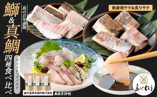 百年漁師の海産物 詰め合わせ[島のごちそう]gochi-1337