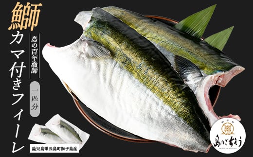 [先行予約]獅子島産 百年漁師の鰤 カマ付きフィーレ2パック (1匹分) [島のごちそう]gochi-1315