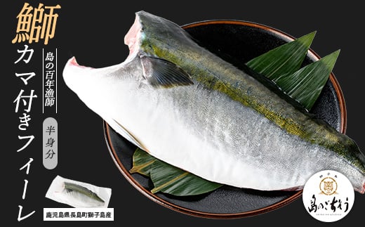 [先行予約]獅子島産 百年漁師の鰤 カマ付きフィーレ1パック (半身分) [島のごちそう]gochi-1314