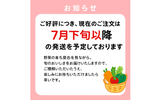 2025年7月下旬以降順番に発送いたしますので楽しみにお待ちください。