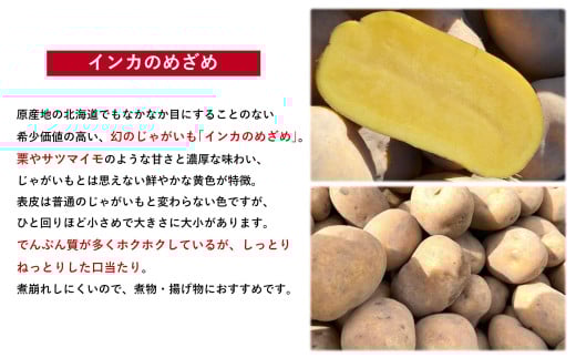 アイテムID:362472の画像2枚目
