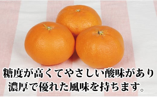 2026年2月発送開始 柑橘の大トロ!「せとか」約3.5キロ<訳あり品 2026年2月発送開始 柑橘の大トロ!「せとか」約3.5キロ<訳あり品