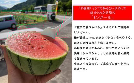 アイテムID:391430の画像3枚目