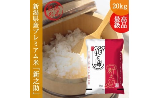 新之助 しんのすけ 20kg (5kg×4袋 )令和6年産 米 お米 精米