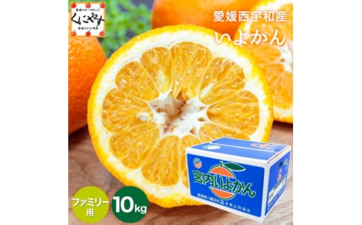 ＜爽やか香りと柔らかジューシーな果肉＞愛媛八幡浜産 宮内伊予柑 10kg＜D20-6＞【1094591】 393975 - 愛媛県八幡浜市