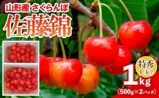 さくらんぼ 佐藤錦 1kg(500gパック×2) 特秀 L玉以上 FY25-122