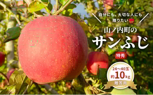贈りたい味、笑顔届ける　 山ノ内育ちのりんご　サンふじ　贈答用　特秀10kg りんご 果物