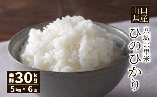 【先行予約】【定期便 6ヶ月】ひのひかり 精米 5kg  計30kg 1139035 - 山口県下関市