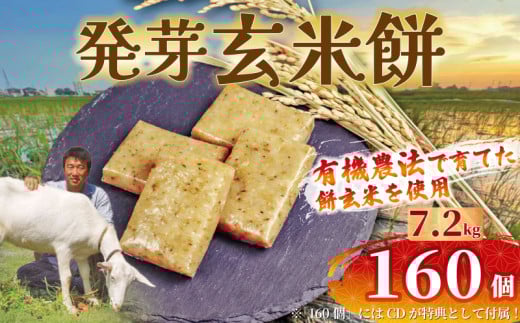 餅 発芽 玄米 160個 7.2kg 個包装 国産 おもち 備蓄 防災 お中元 小分け レンジ オーブン 簡単調理 有機 不耕起栽培 健康 食品 発芽玄米餅 埼玉県 羽生市 雨読晴耕村舎