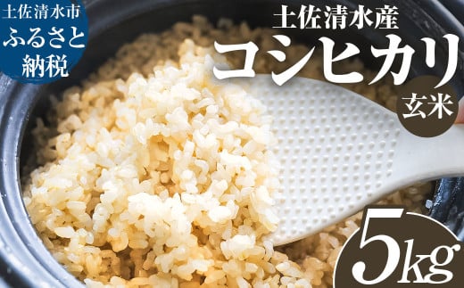 土佐清水産コシヒカリ 玄米 5kg 5キロ 先行予約 令和7年8月中旬以降順次発送予定 お米 おこめ 米 こめ ごはん 飯 こしひかり ブランド米 おいしい 国産【R01394】