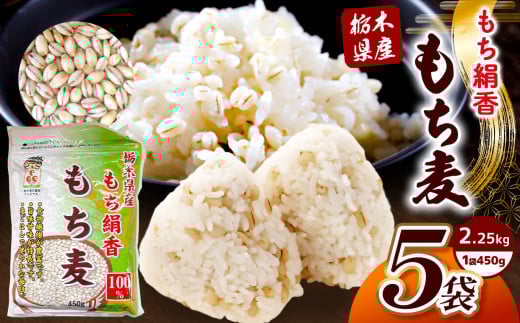栃木県産もち麦 2.25kg(450g×5袋) | もち麦 麦 むぎ 栃木県産 もち 大麦 食物繊維 β-グルカン 糖質 ダイエット 腸内環境 栃木県 真岡市 送料無料 2160771 - 栃木県真岡市