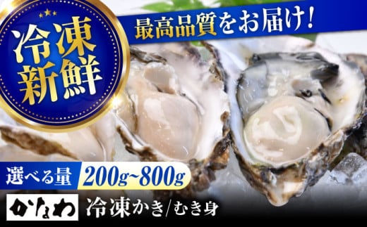 広島牡蠣の老舗！安心・安全の新鮮牡蠣【瞬間冷凍】牡蠣 むき身 600g 魚介類 和食 海鮮 海産物 広島県産 江田島市/株式会社かなわ [XBP053] 牡蠣 生食 冷凍 むき身 殻付き 殻付 殻 かき カキ 生牡蠣 広島牡蠣 オイスター カキフライ 魚介類 魚介 貝類 海鮮 広島県産 国産 産地直送 贈答 ギフト 期間限定 季節限定 特産品 牡蠣 かき 1745798 - 広島県江田島市